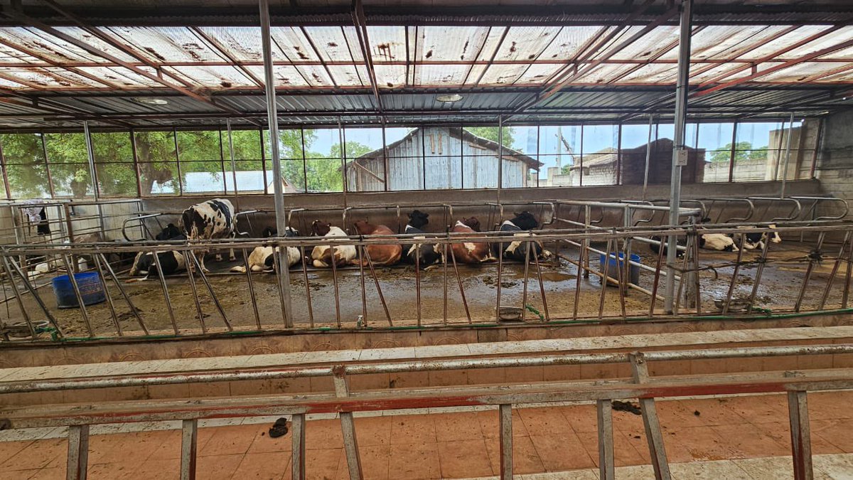 Dau Athithie tweet media