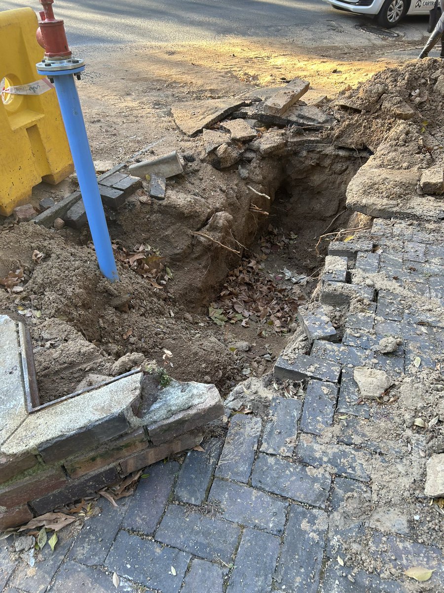 Ryan dittmann tweet media