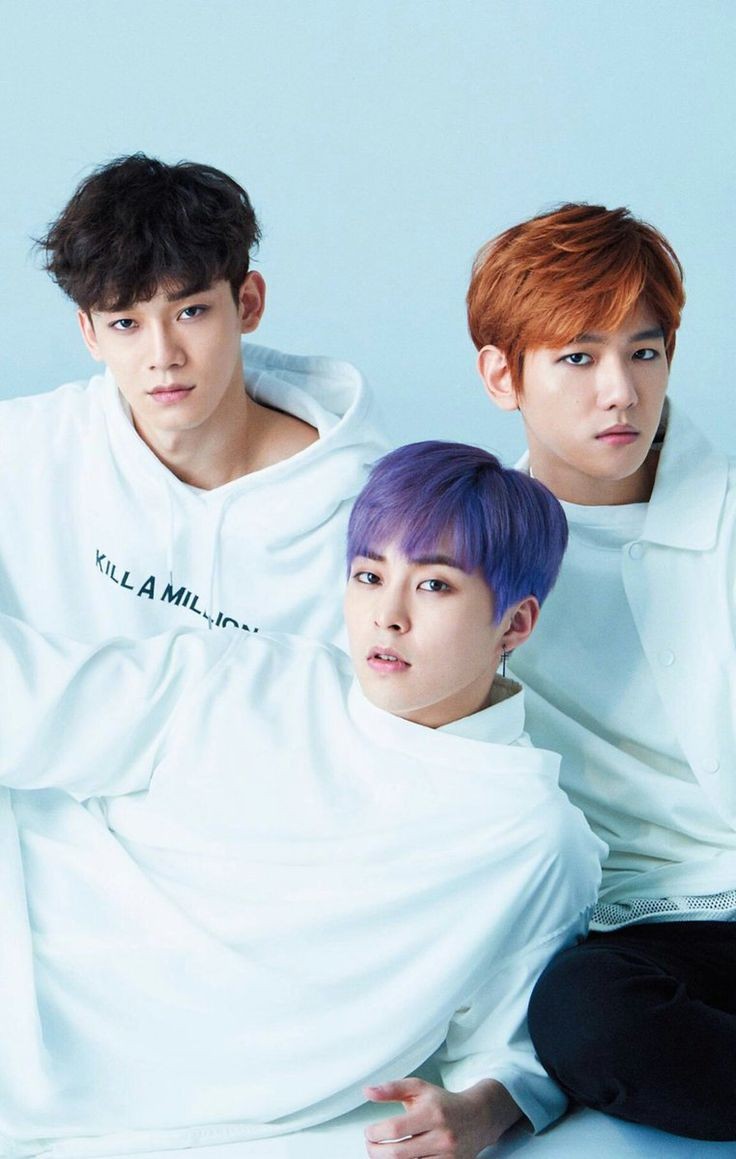 vexo140805's tweet photo. WE STAND WITH CBX ❤️💜💚
#WeStandWithCBX 
@weareoneEXO 
@INB100_official https://t.co/lznYBp7WkZ