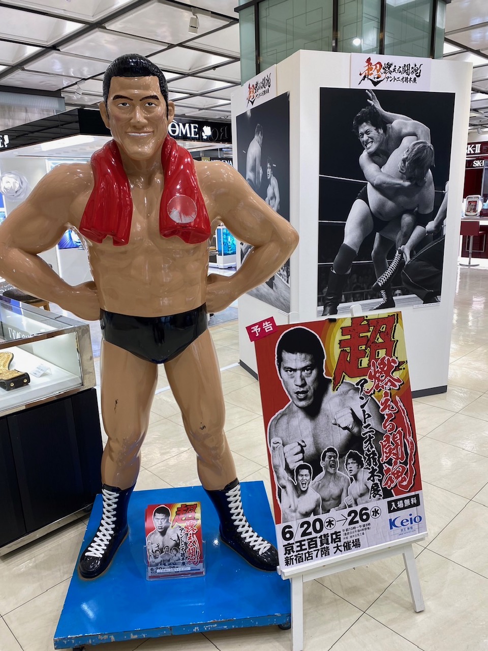 アントニオ猪木全集〈5000セット完全限定生産・13枚組〉 （DVD