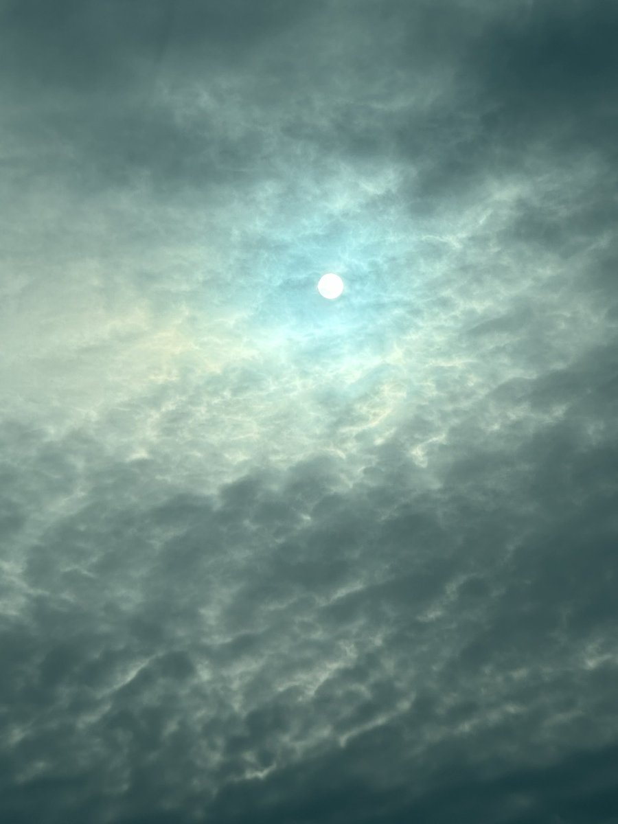 맨유맨 (@sudongzadong) on Twitter photo 