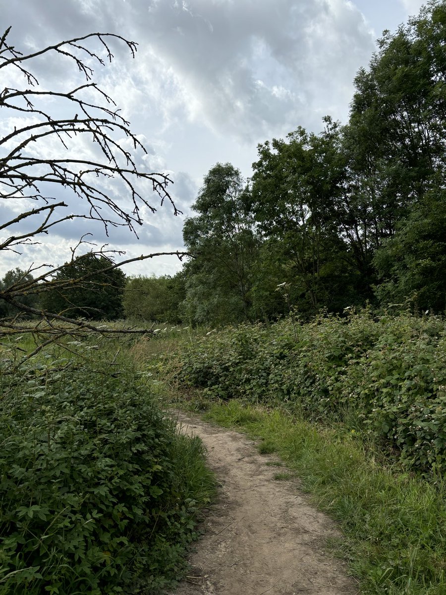 sortandsurvive's tweet photo. My new commute to work.. or at least to Hampstead Heath Station. https://t.co/gAdXLZNMOx