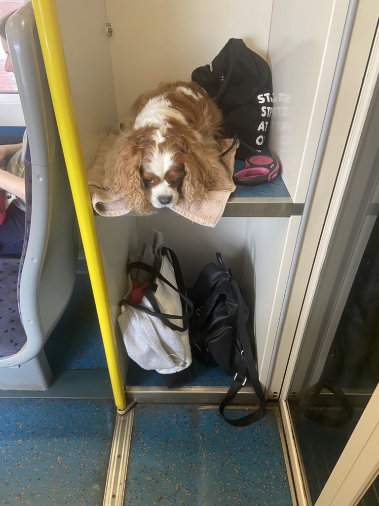 Emily Glenister tweet media