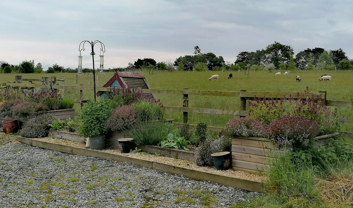 gareth_moir's tweet photo. An enjoyable and interesting Babergh &amp; Mid-Suffolk Food Network meeting. #MakingConnections #ConnectForHealth 
#FoodGrowing  #TwoFieldsFarm #BaberghMidSuffolk https://t.co/kf8ubCztR4