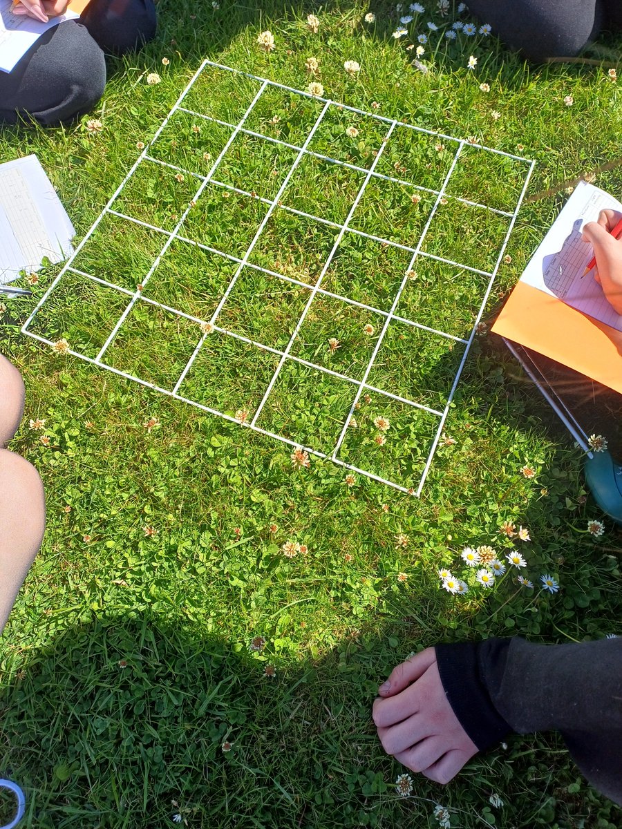 Over the last two weeks, the weather has been 'better' and our biology classes have been doing lots of environmental sampling using quadrats, pooters, pitfall traps and tree beating.