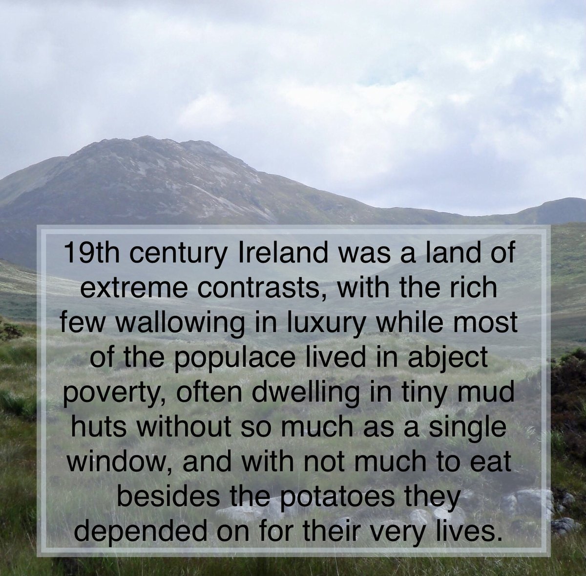 Juliane Weber tweet media