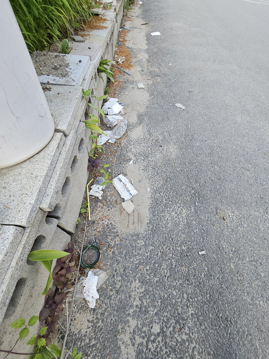 wen5835's tweet photo. 垃圾处理干净啦～
#CleanUpChallege @cleanify_vet https://t.co/bU0JzbiWku