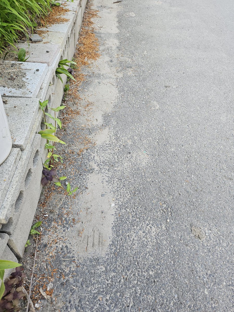 wen5835's tweet photo. 垃圾处理干净啦～
#CleanUpChallege @cleanify_vet https://t.co/bU0JzbiWku