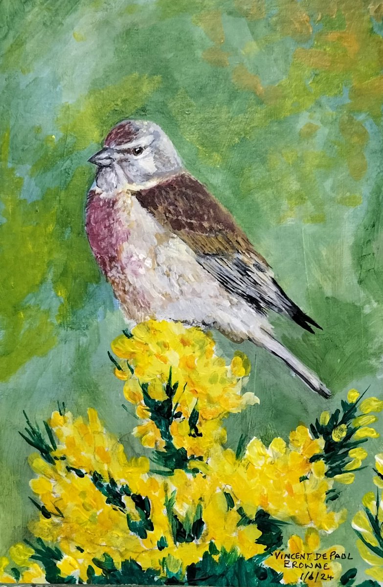 BrowneVin's tweet photo. Acrylics on Card, 
Goldfinch and Linnet https://t.co/K66SczrALS