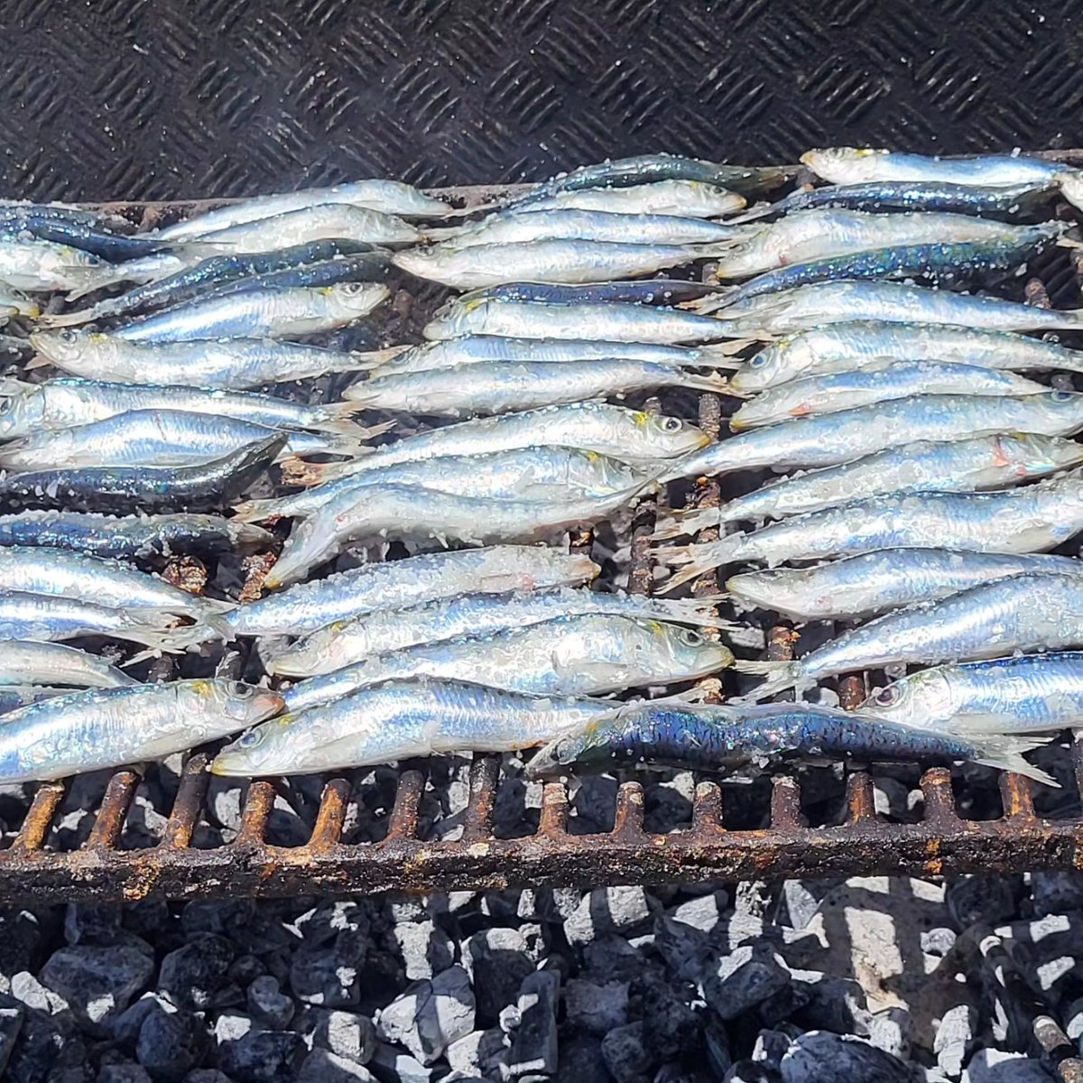 Jenny Linford tweet media