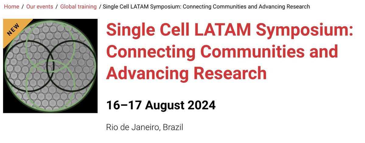 I love this part of my job! We're reuniting the Single Cell community this August in Rio for an incredible symposium. If you're working on Single Cell in Latin America, join us! Apply by June 20th! #SingleCellRio24 #SingleCell rb.gy/02dgjz