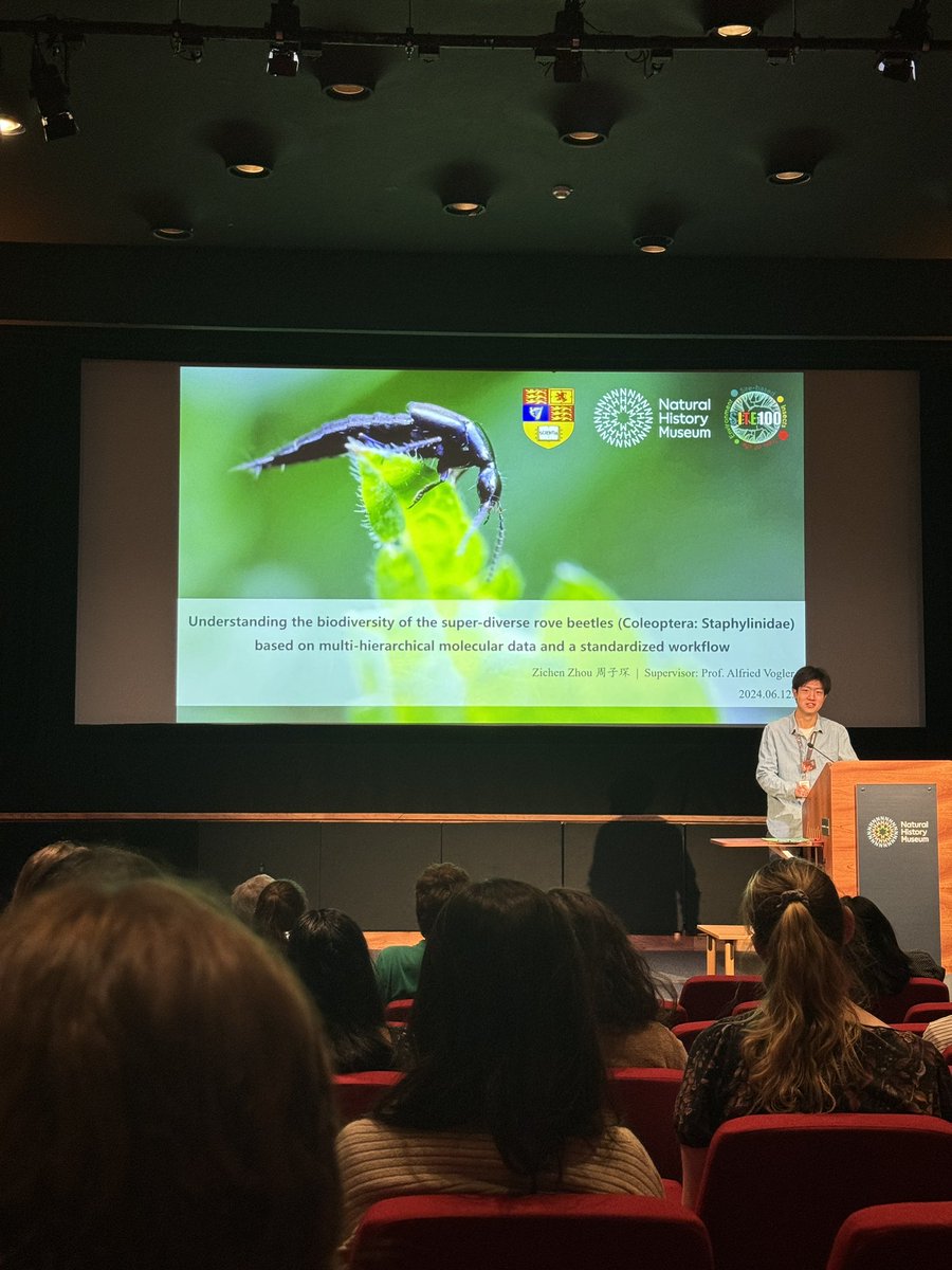 BeetleMania tweet media