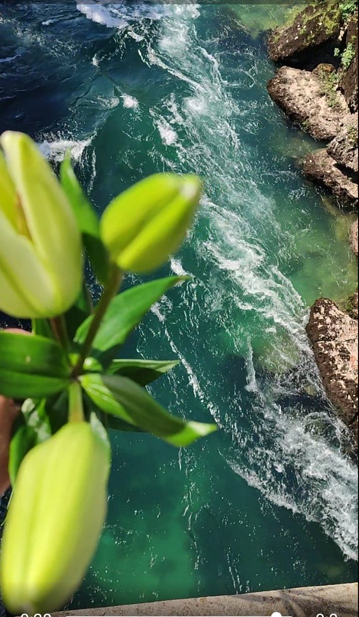 SuljicSemir's tweet photo. Mostar 13.06. ⚜️🇧🇦 https://t.co/AZzgGeylDs