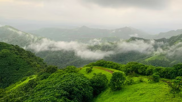 ecology_journal's tweet photo. 3 states seek #shrinking of #eco-#sensitive areas in #Western #Ghats 
Read more: https://t.co/PUxW2etEST 
share your manuscript: https://t.co/RZWZ8O7yCJ 
#jety 
#manuscript 
#research 
#Biodiversity https://t.co/JMhUT91HlT