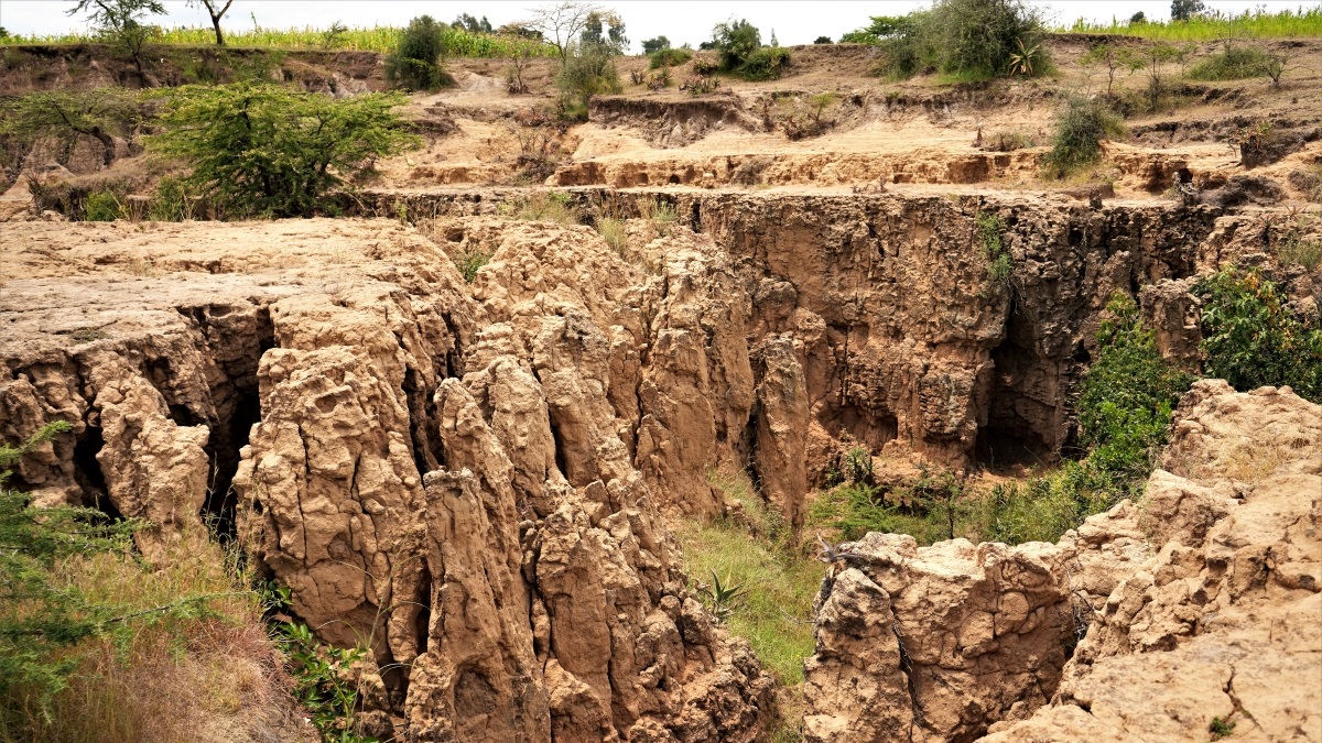 FarmAfrica's tweet photo. #DidYouKnow degraded land poses social, economic and environmental risks?

🏠Flooding can damage schools and homes and cause displacement, disease and death
💰Poorer pastures mean farmers face low returns
🌸Soil erosion leads to biodiversity loss and contributes to climate change https://t.co/SCm1NKinnG