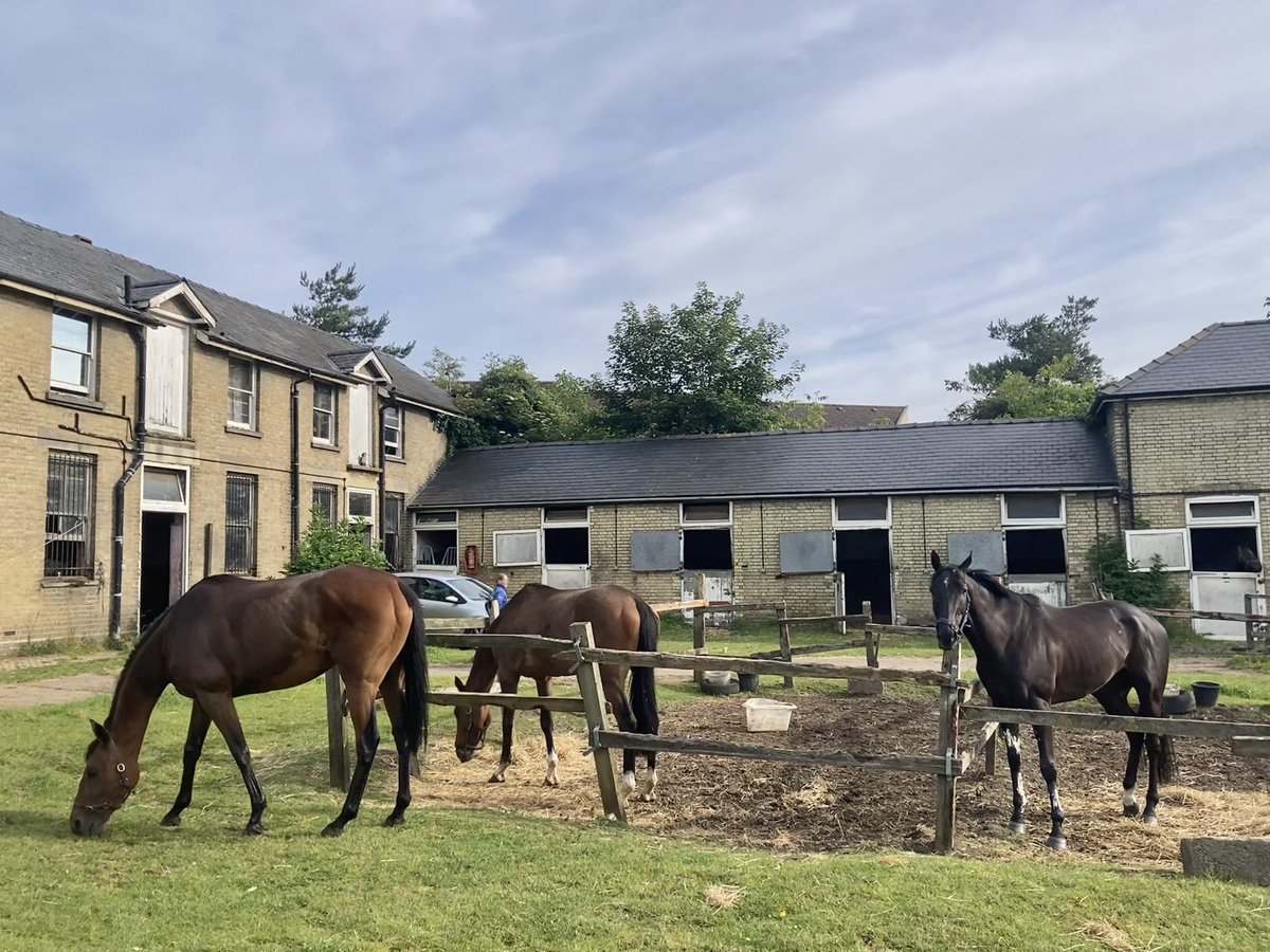 JohnWathenBerry's tweet photo. It seems as if there may be (yet more) wet & windy weather moving in from the west, but just now it’s very pleasant in Newmarket (particularly when compared to what we’ve been having). 14 degrees & hazy/cloudy sunshine #MrsMaisel #Merrijig #Eljaytee #Duchess #FlyingStar #Dereham https://t.co/mTR0mfaOQs