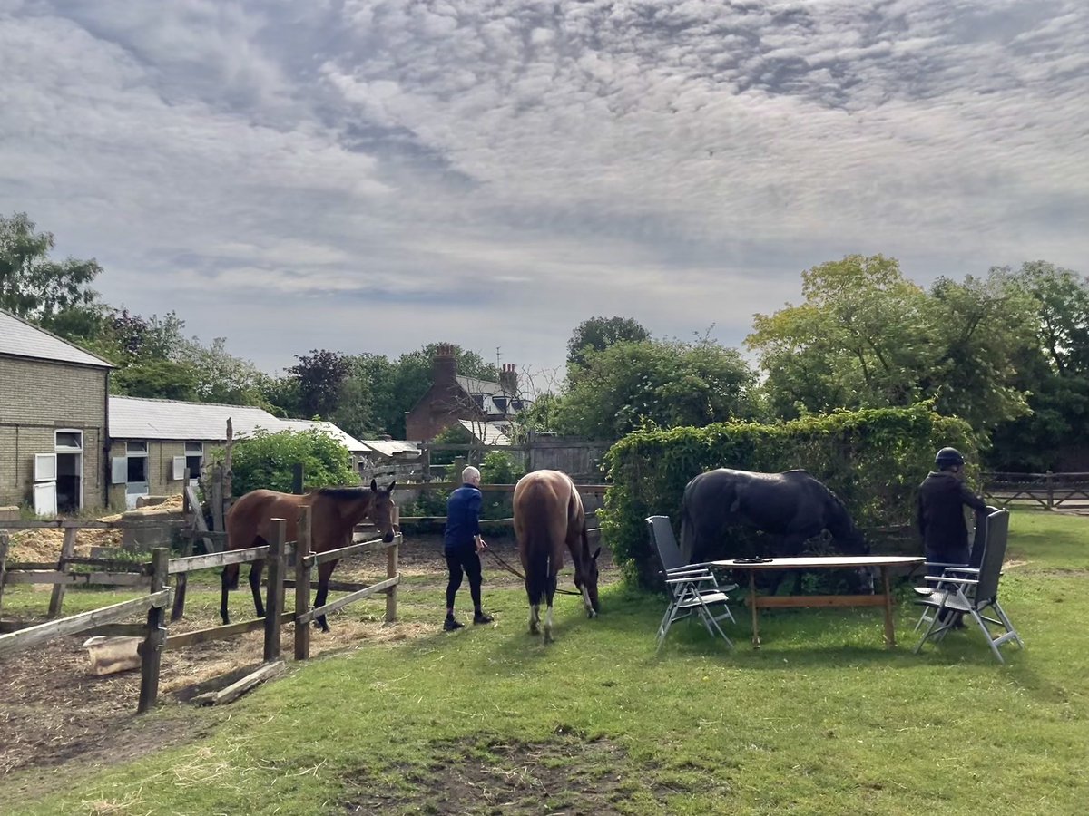 JohnWathenBerry's tweet photo. It seems as if there may be (yet more) wet & windy weather moving in from the west, but just now it’s very pleasant in Newmarket (particularly when compared to what we’ve been having). 14 degrees & hazy/cloudy sunshine #MrsMaisel #Merrijig #Eljaytee #Duchess #FlyingStar #Dereham https://t.co/mTR0mfaOQs
