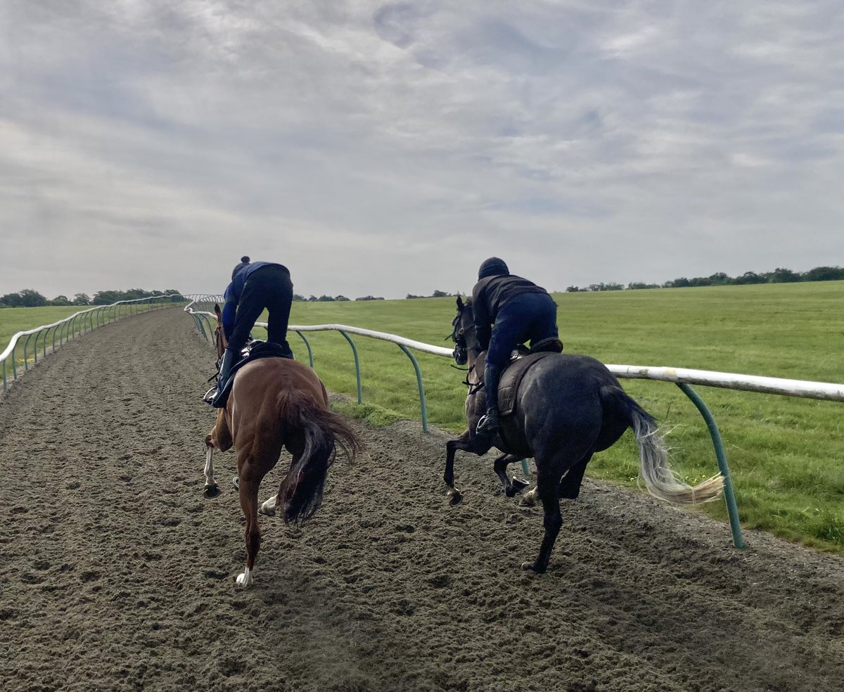 JohnWathenBerry's tweet photo. It seems as if there may be (yet more) wet & windy weather moving in from the west, but just now it’s very pleasant in Newmarket (particularly when compared to what we’ve been having). 14 degrees & hazy/cloudy sunshine #MrsMaisel #Merrijig #Eljaytee #Duchess #FlyingStar #Dereham https://t.co/mTR0mfaOQs