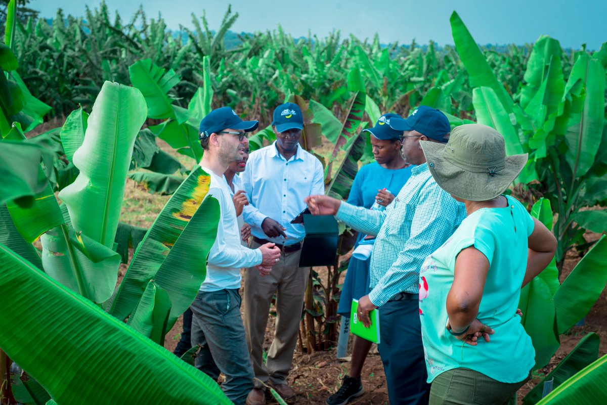 Alliance of Bioversity International and CIAT tweet media