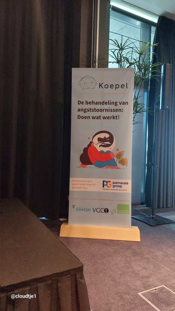 cloudtje1's tweet photo. #koepelcongres @VerenigingEMDR #vgct #vst https://t.co/u8JMZjtYL7