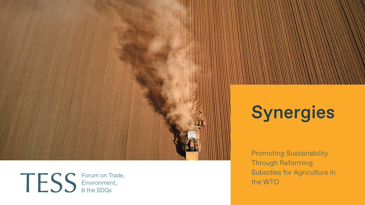 Forum on Trade, Environment & the SDGs (@tessforum) on Twitter photo <a href="/TESSForum/">Forum on Trade, Environment & the SDGs</a> is pleased to share this Synergies article by Christophe Bellmann, <a href="/ClaraBrandi/">Clara Brandi</a>, Umberto Celli Junior, <a href="/CarolynDeere/">Carolyn Deere Birkbeck</a>, & <a href="/PeterDraper5/">Peter Draper</a> on:
➡️ How the @WTO can promote a more sustainable and equitable global agricultural system by fostering dialogue and cooperation on <a href="/TESSForum/">Forum on Trade, Environment & the SDGs</a> is pleased to share this Synergies article by Christophe Bellmann, <a href="/ClaraBrandi/">Clara Brandi</a>, Umberto Celli Junior, <a href="/CarolynDeere/">Carolyn Deere Birkbeck</a>, & <a href="/PeterDraper5/">Peter Draper</a> on:
➡️ How the @WTO can promote a more sustainable and equitable global agricultural system by fostering dialogue and cooperation on