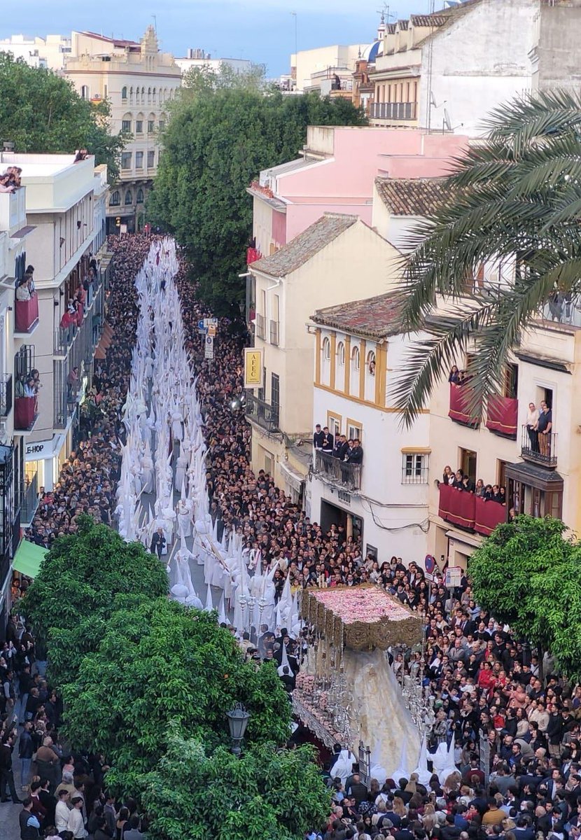 Mini Troyi tweet media