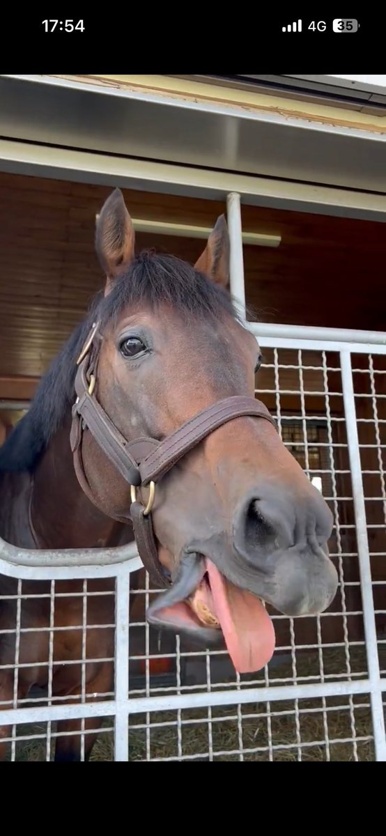 2_20_6_AE_NS258's tweet photo. @arrowstud_staff こっちはスクショが止まらん🍞ｶﾜｲｲ https://t.co/1eybCUK1Ew