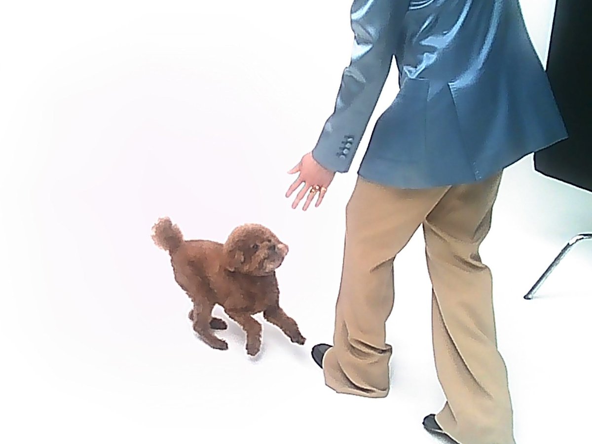 KEY 키  Single ‘Tongue Tied’ | What's going on #1 

➫ 2024.06.26 12AM KST

#KEY #키 
#SHINee #샤이니 
#Tongue_Tied #KEY_Tongue_Tied