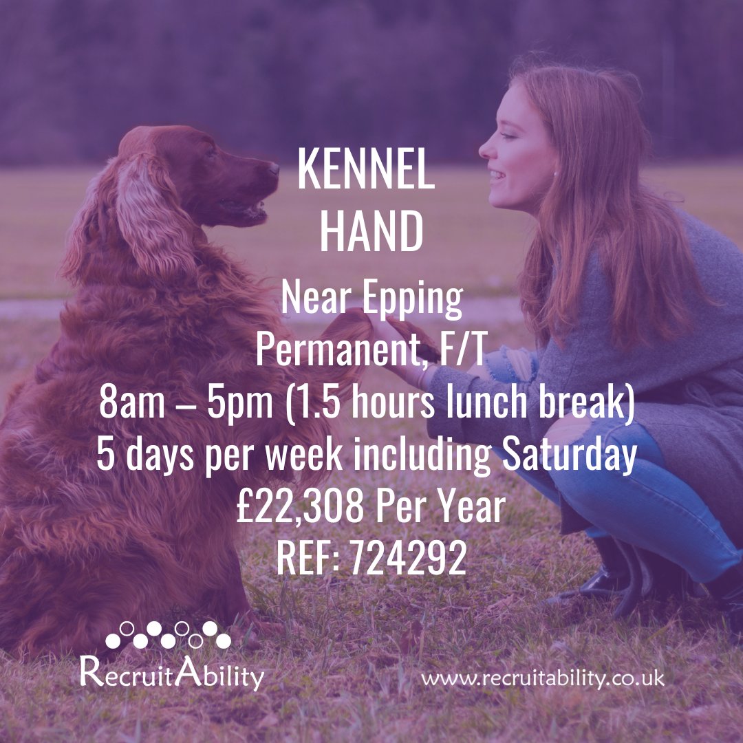 RecruitAbility is looking for a reliable, caring, animal lover to work with their client near Epping. You will be looking after a variety of animals, including dogs, cats, rabbits, and hedgehogs. This is a fabulous and rewarding role: recruitability.co.uk/job/kennel-han…