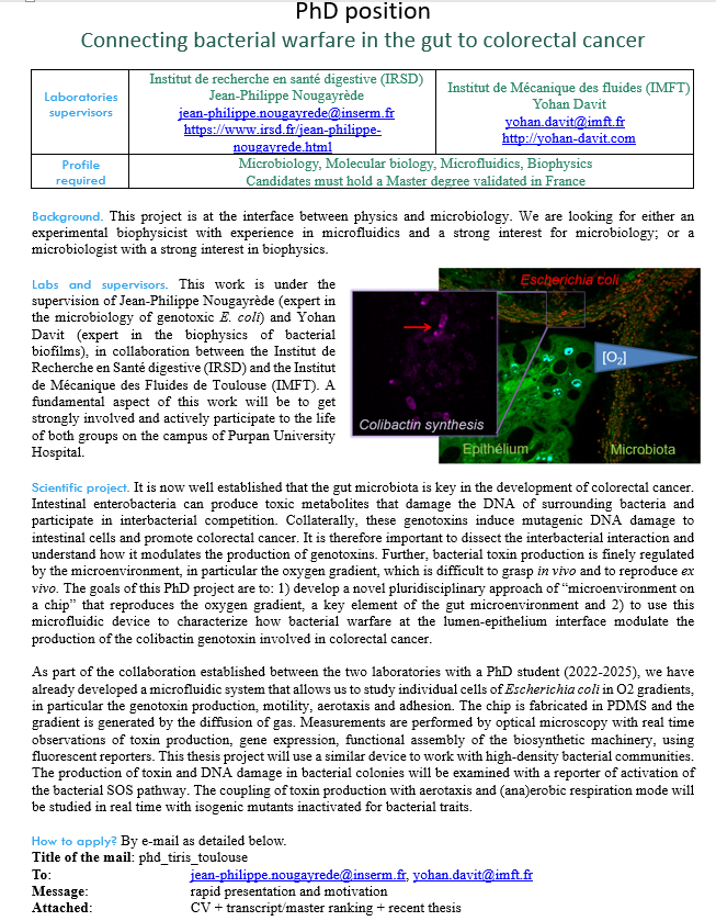 JPNoug's tweet photo. We have a PhD position open ! https://t.co/2dWnDN230l