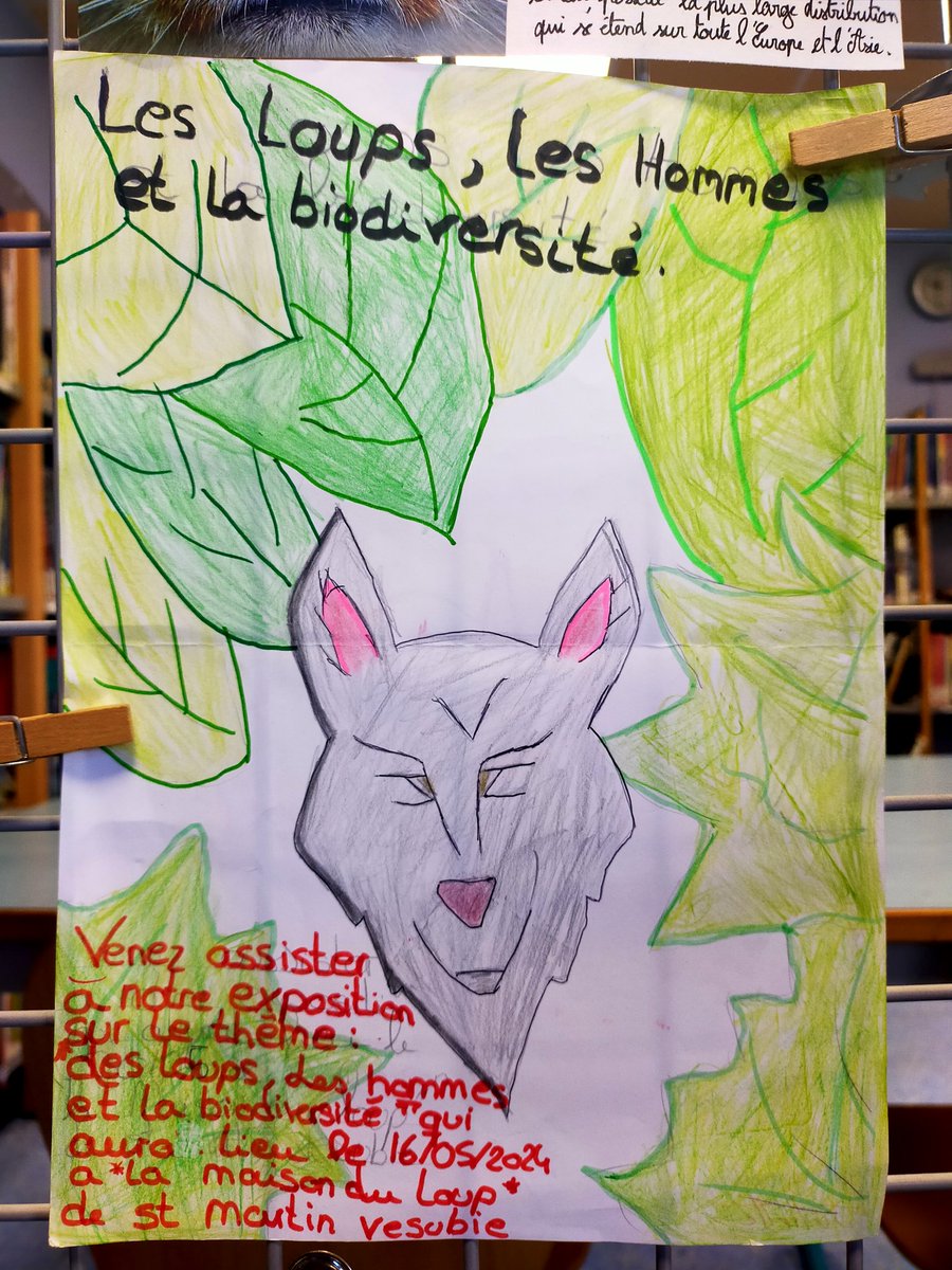 CDIBONNARD06 tweet media