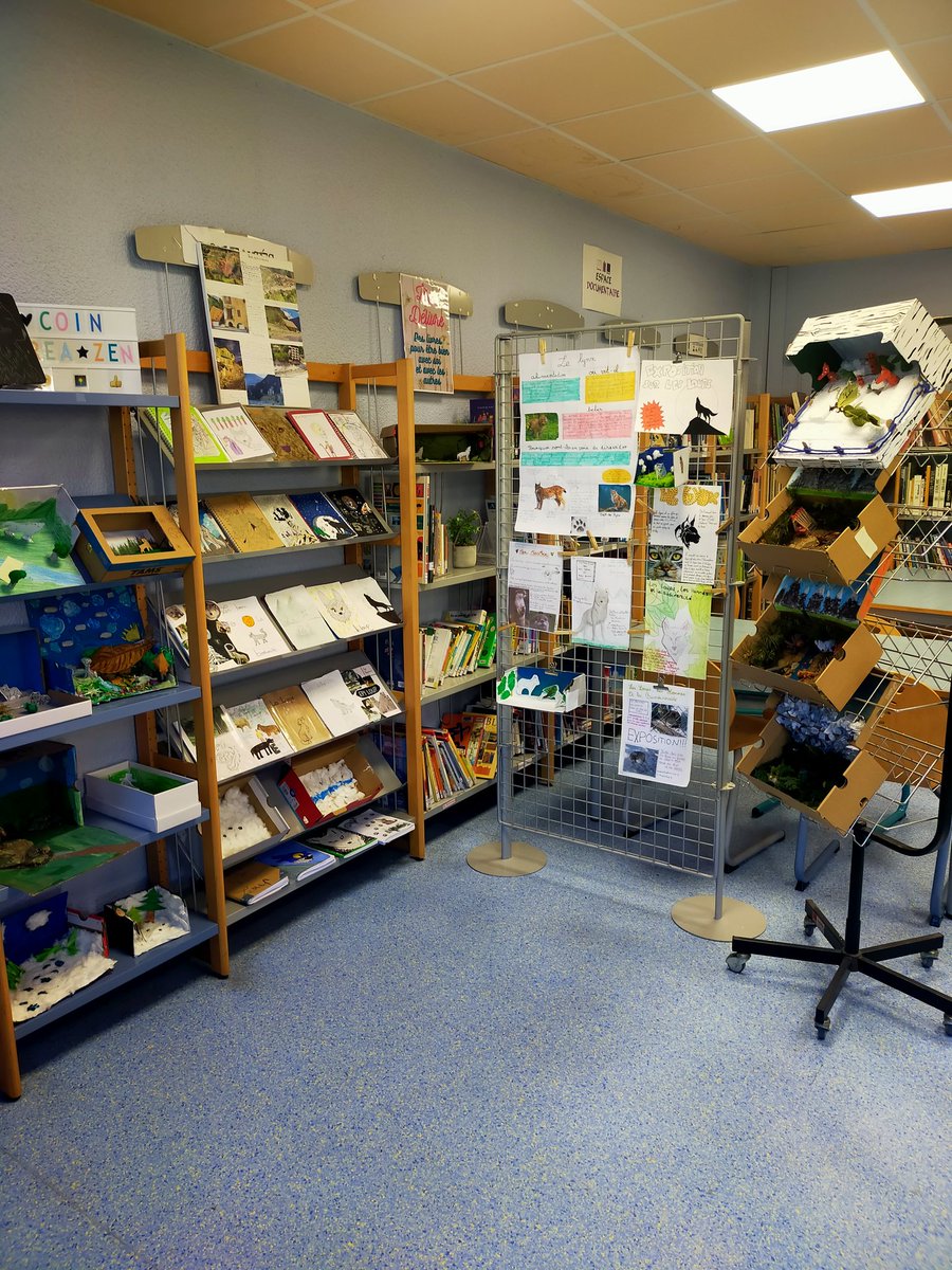 CDIBONNARD06 tweet media