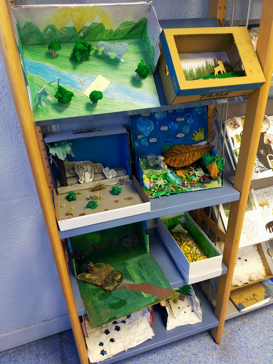 CDIBONNARD06 tweet media