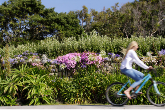 Tregarthens's tweet photo. ๐ฒIt's #BikeWeek and Scilly is a fantastic place to hop on a bike (available to hire locally).
Stop off to admire the panoramic views from stunning vantage points such as Garrison Hill on St Maryโs, or stretch out in the sun before winding your way back to the hotel.
#BikeHero https://t.co/Fsip1eC6sd