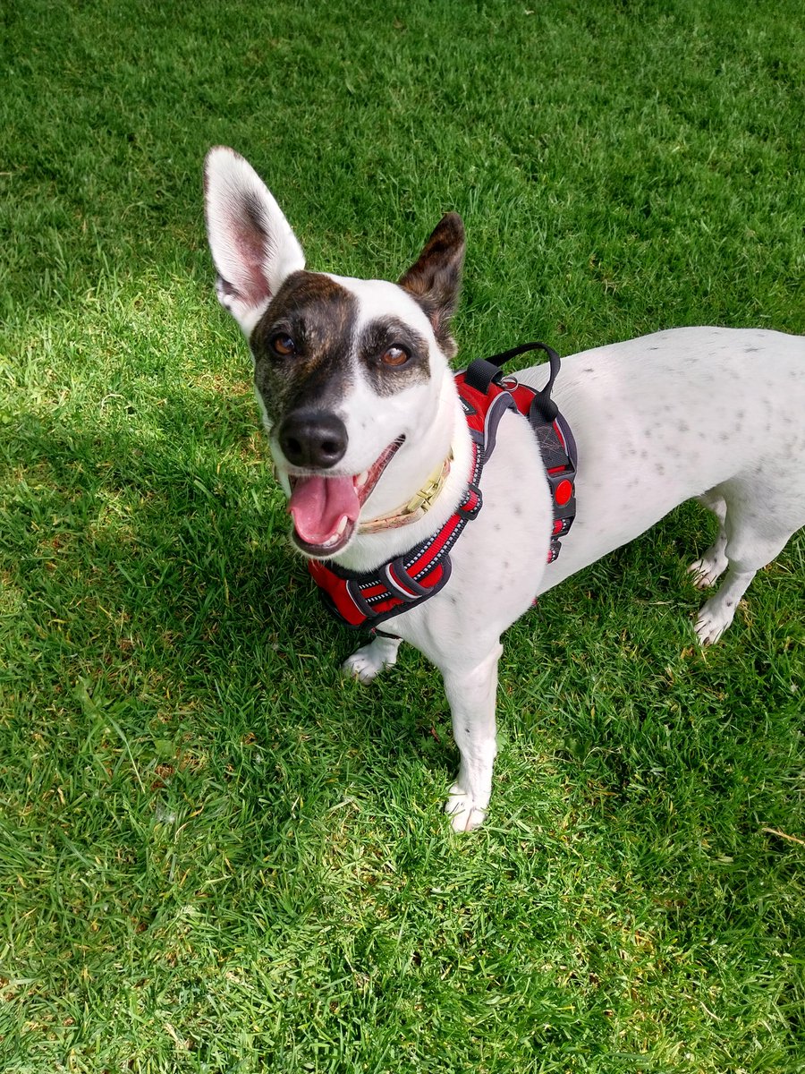 Paul Dunphy Esquire. 🏳️🌈 tweet media