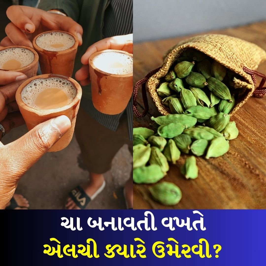 tv9gujarati's tweet photo. Elaichi Tea : ચા બનાવતી વખતે એલચી ક્યારે ઉમેરવી?

#tea #teatype #cardamom #lifestyle #elaichi #elaichitea

https://t.co/NIe4UqLjAX https://t.co/4CMmgH9VaZ