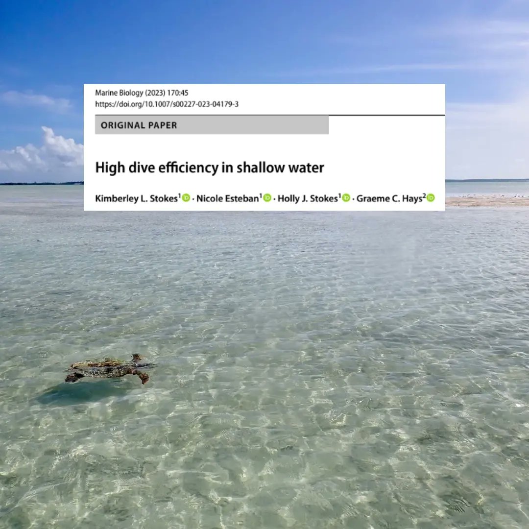 MarCEL Swansea tweet media