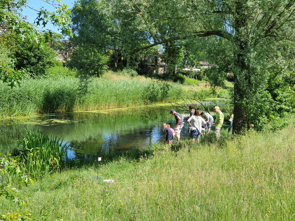 niooknaw's tweet image. Ga er met je schepnet op uit en zoek naar #waterdieren tijdens de #Slootjesdagen. Wat leeft er in het water bij jou in de buurt? Stuur je tellingen op naar waterdiertjes.nl en help het onderzoek naar de Nederlandse #waterkwaliteit. Lees meer: nioo.knaw.nl/nl/nieuws/op-z…