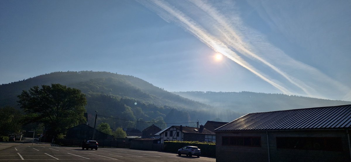 Elusion44 tweet media