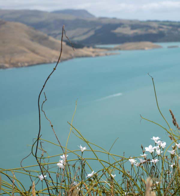 Vision

We think it's important to consider your future and goals you set for yourself!

David Says 'i hope to be living in New Zealand in the next few years'

What future goals have you set for yourself?