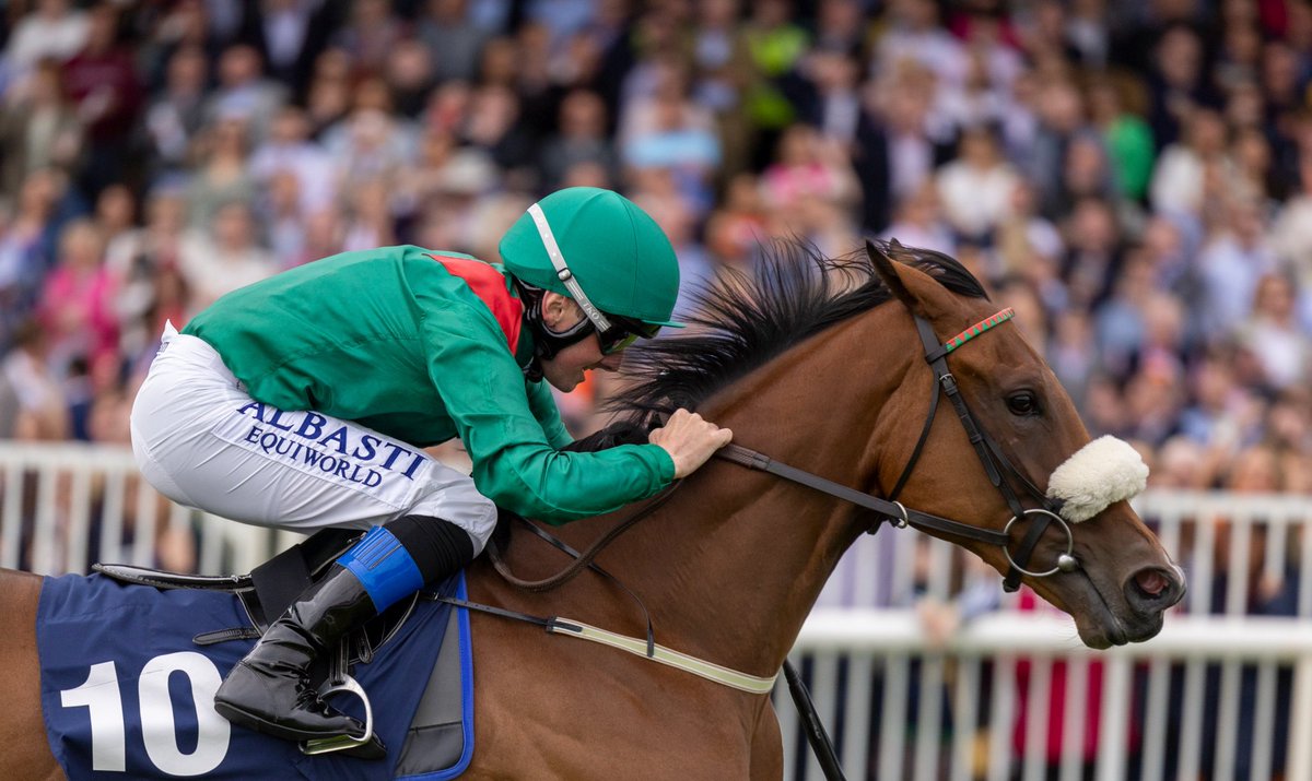 seenthestars's tweet photo. ICYMI from Andrew Dietz's piece in the @RacingPost on the Prix de Diane, @chrishayes24 booked by @AgaKhanStuds and @GraffardRacing for the ride aboard #Candala. Can he do a Johnny Murtagh at Chantilly? https://t.co/GSthjXx8s3