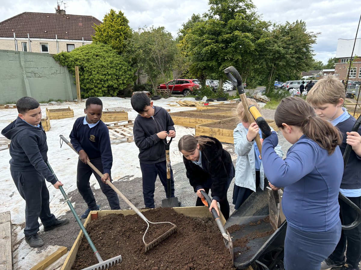 mrsbryan_'s tweet photo. Primary 5 have been helping with the creation of the school garden @stcatherinespsy Lots of hard work and determination from all! https://t.co/7RdNxMKi5J