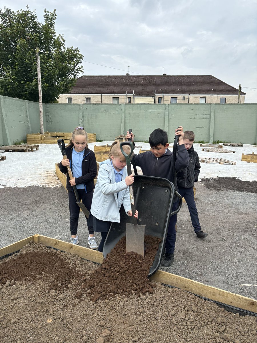 mrsbryan_'s tweet photo. Primary 5 have been helping with the creation of the school garden @stcatherinespsy Lots of hard work and determination from all! https://t.co/7RdNxMKi5J