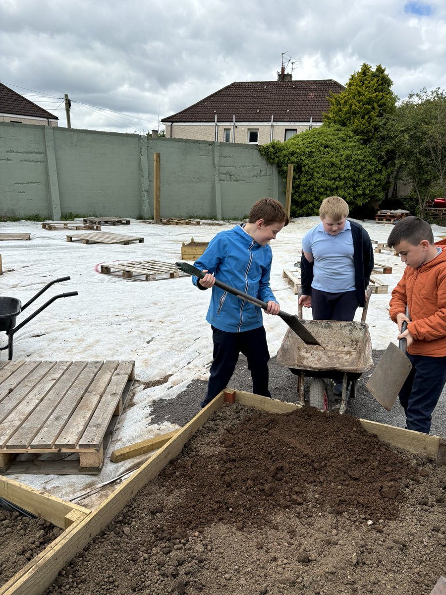 mrsbryan_'s tweet photo. Primary 5 have been helping with the creation of the school garden @stcatherinespsy Lots of hard work and determination from all! https://t.co/7RdNxMKi5J