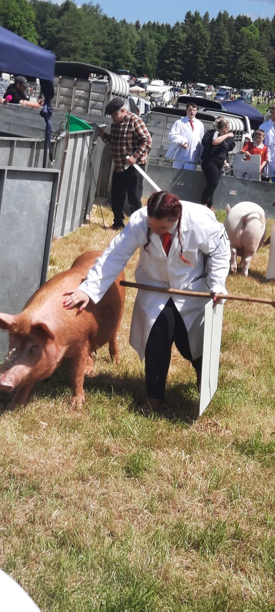 RuralSupport's tweet photo. It was great to see Amanda Social Farming participant at @LaurelView handling the pigs so confidently at Armagh Show. Social Farming has many benefits including learning new skills, developing new connections, growing confidence &amp; being integrated into the local community https://t.co/GmZNU5aqsY