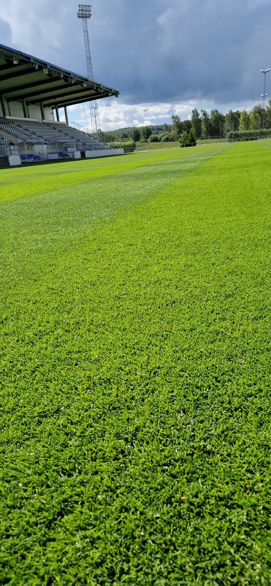 DanielPerkmar's tweet photo. Njutbart! 

#grönasidanupp #groundsman #perfektion https://t.co/416P48Pm22