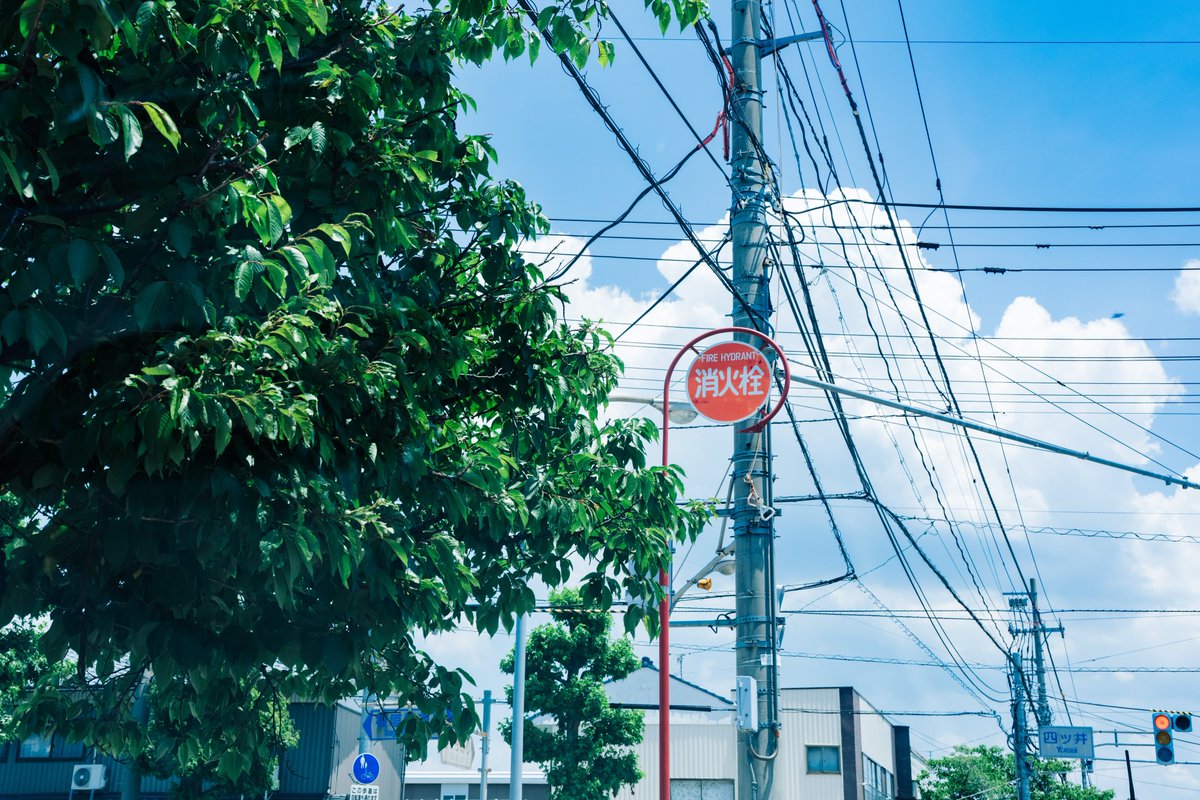 おくで tweet media