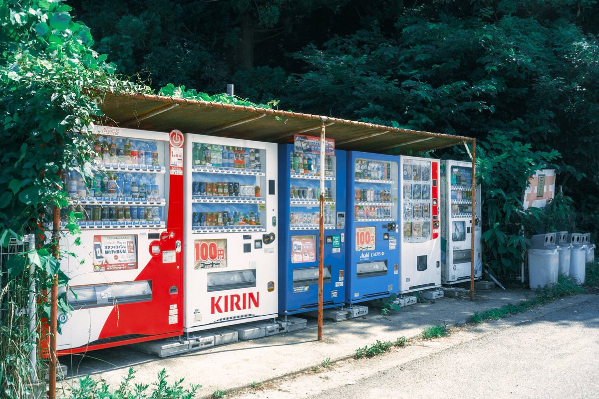 おくで tweet media