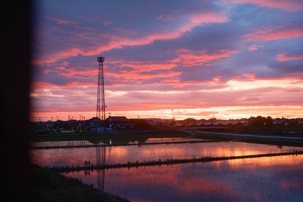 おくで tweet media