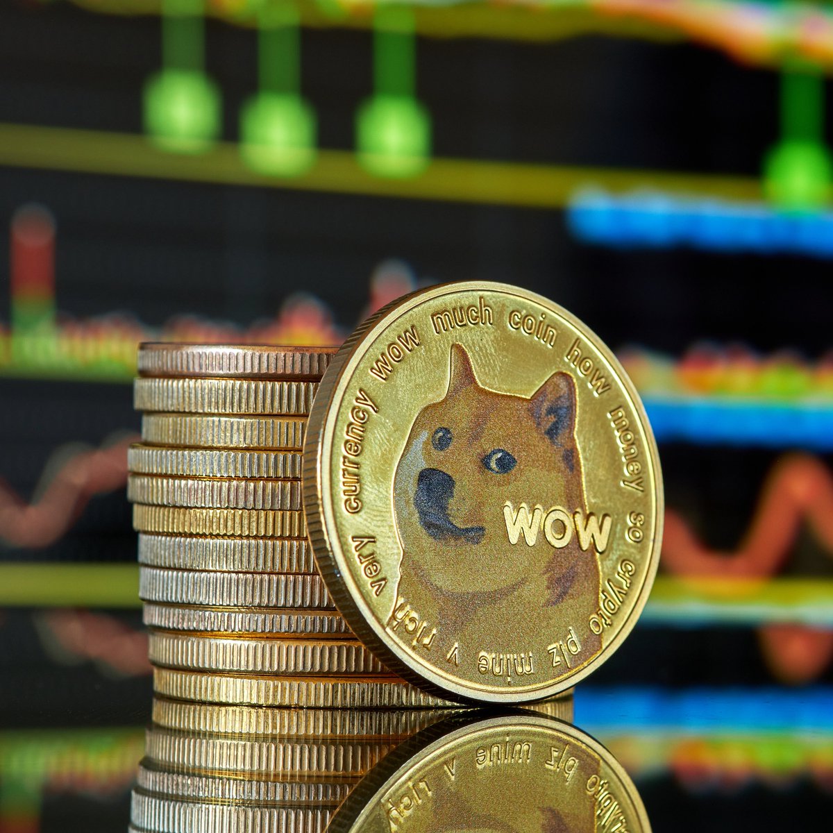 1 Doge = ?